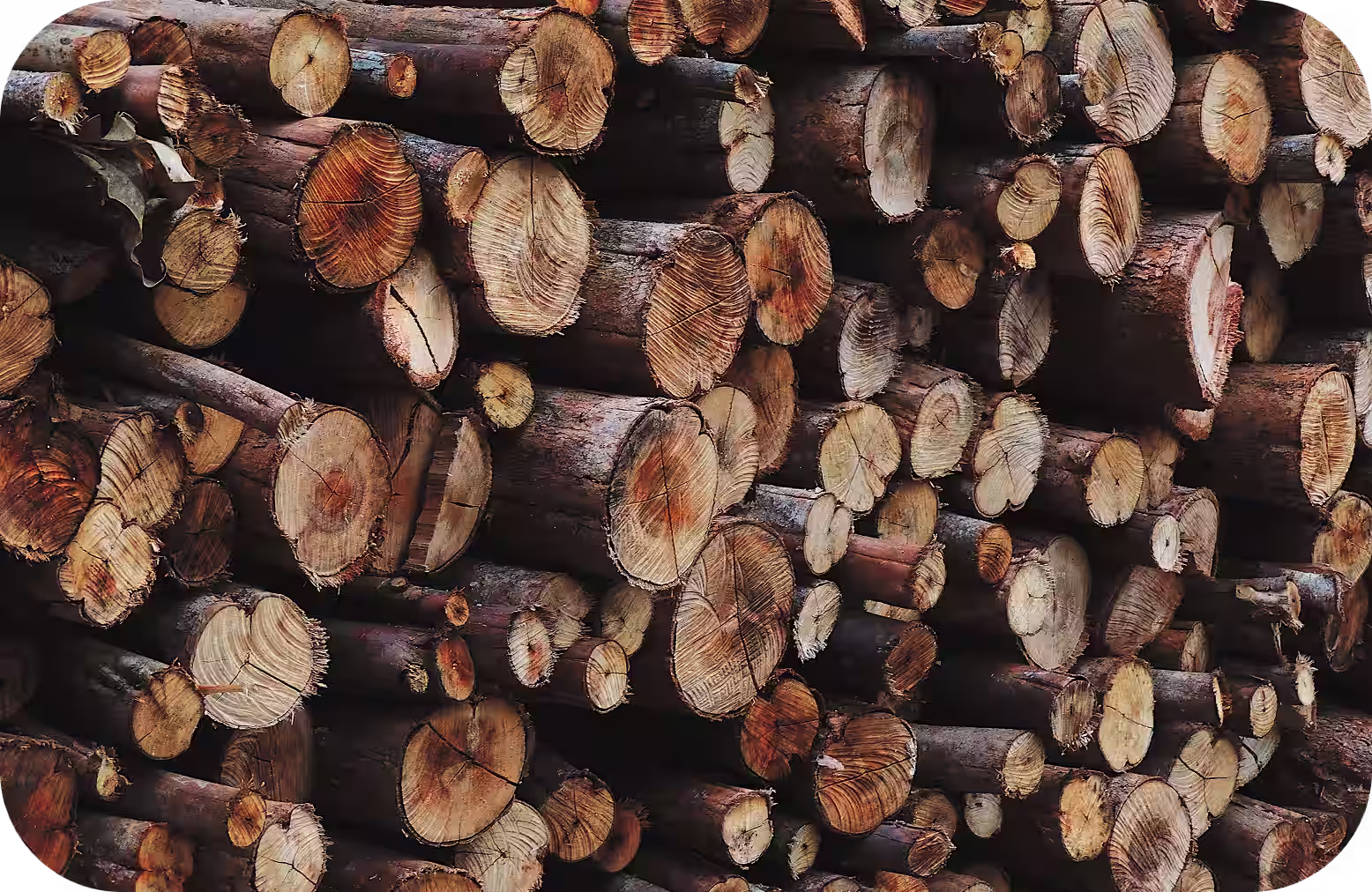achat-bois-chauffage-challans